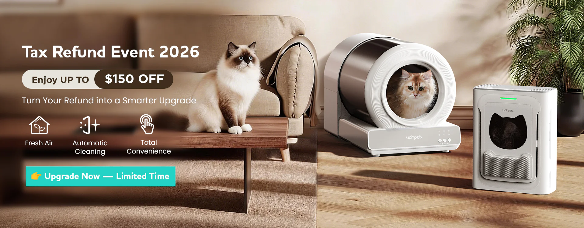 Elevate Your Pet's Daily Comfort